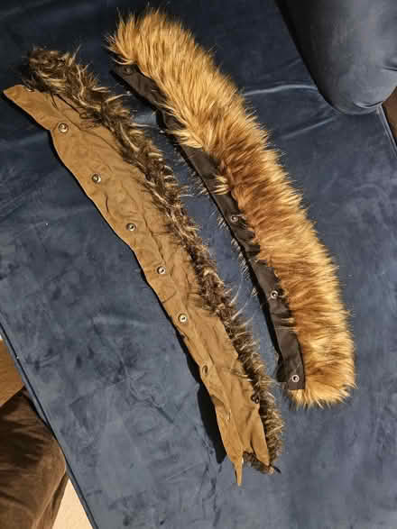 Photo of free Jacket/Coat fur (E1 Tower Hamlets) #2