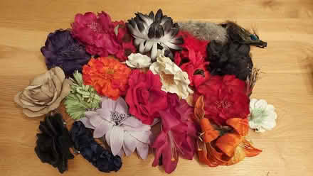 Photo of free Ladies fancy hair clips (Bolton le Sands LA5) #1