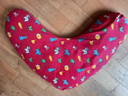Photo of free Nursing pillow, with washable cover (Odd Down) #1