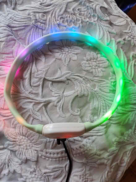 Photo of free Light Up Dog Collar, LED (BN3) #2