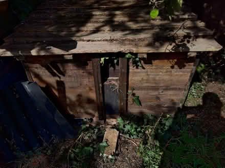 Photo of free Chicken coop (Stretton DE13) #1