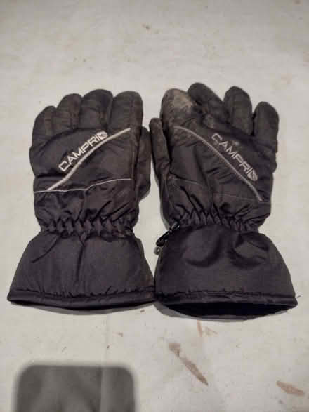 Photo of free Campri Gloves (Drayton Parslow MK17) #1