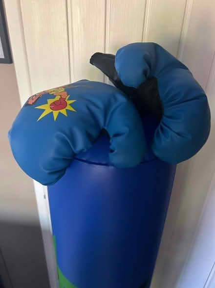 Photo of free Kids punchbag/kick boxing (Chorlton M21) #2