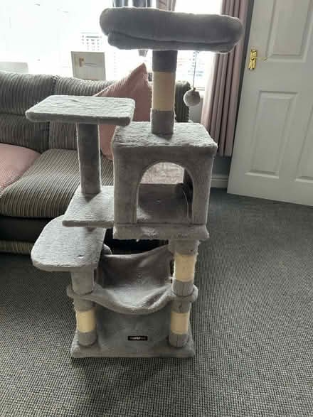 Photo of free Cat tree (Axminster) #1