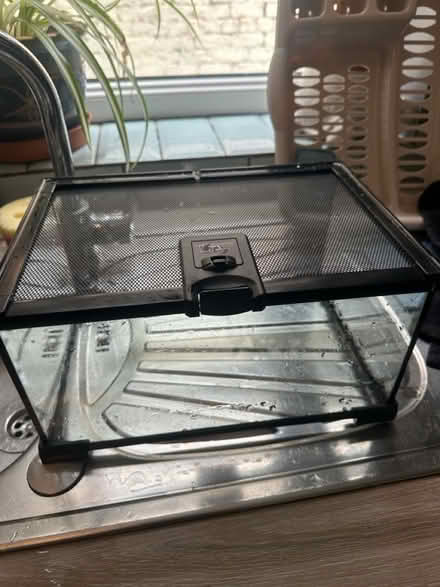 Photo of free Glass terrarium (Birkenhead) #1