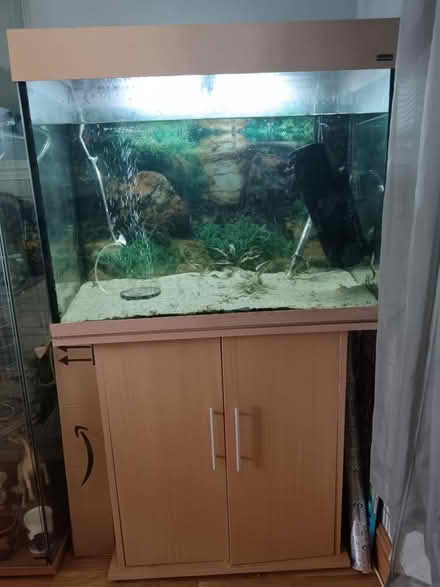 Photo of free Large fish tank and cupboard (Letchworth SG6) #1