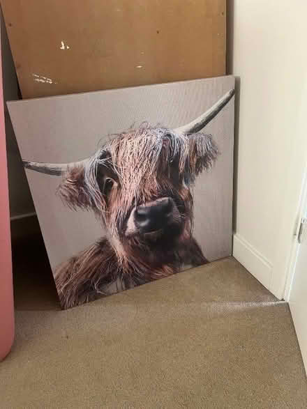 Photo of free Canvas (Wincobank S5) #1