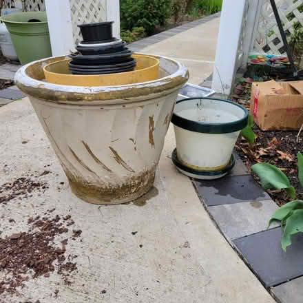 Photo of free Nursery Pots (Nassau County) #2