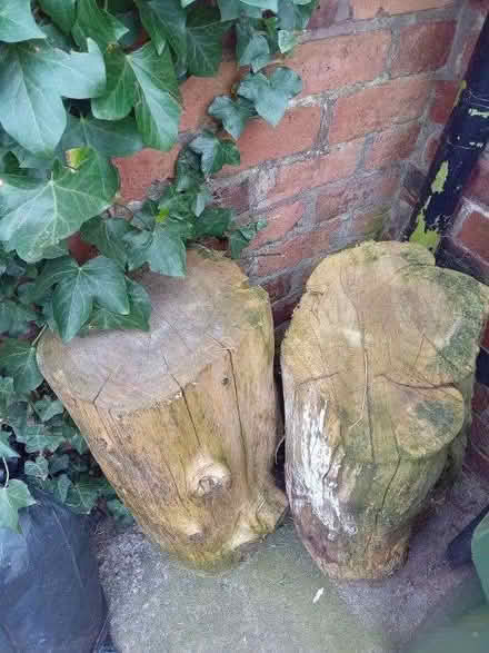 Photo of free 2 x 27 Inch Tall, 11 Inch Diameter Round Seasoned And Dry Ha (Gidlow WN6) #1