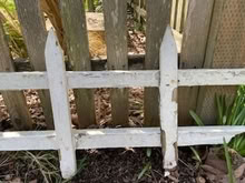 Photo of free Wooden fence piece (North Everett) #3
