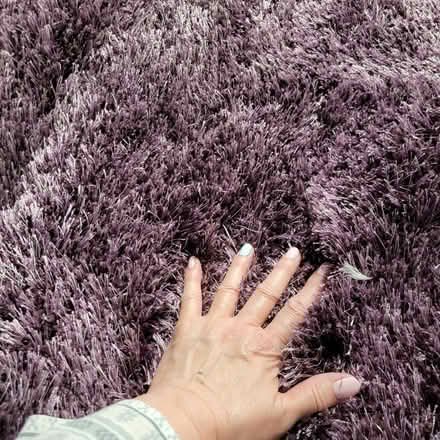 Photo of free 8 x 8 Area Rug (Nassau County) #2