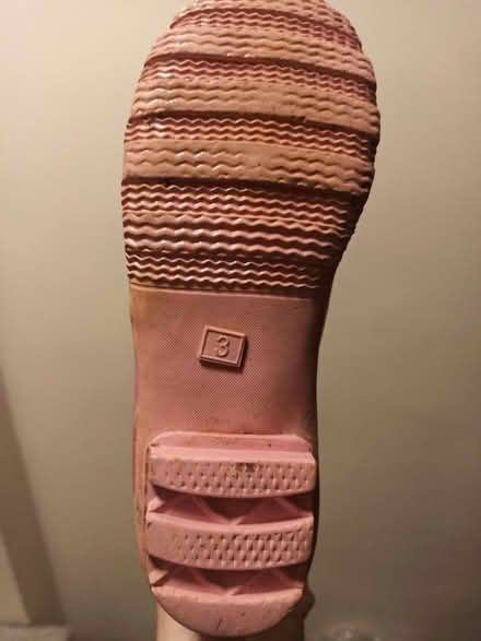 Photo of free Girls wellies (Woking GU22) #2