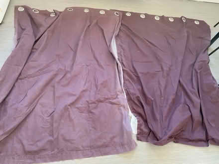 Photo of free Purple Curtains (Canning Town) #1