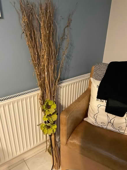 Photo of free Decorative Twigs (Waverton CH3) #1