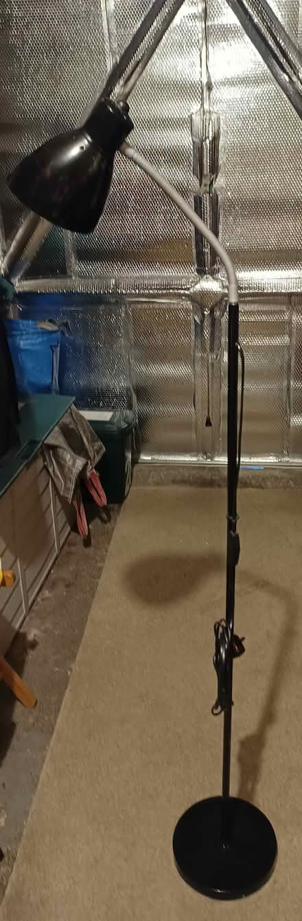 Photo of free Floor standing lamp (not LED) (CH5) #3