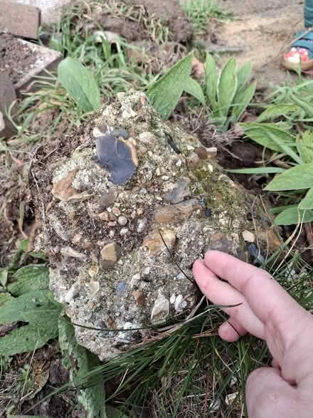 Photo of free Rocks/boulders for borders and rockeries (Watton at Stone SG14) #4