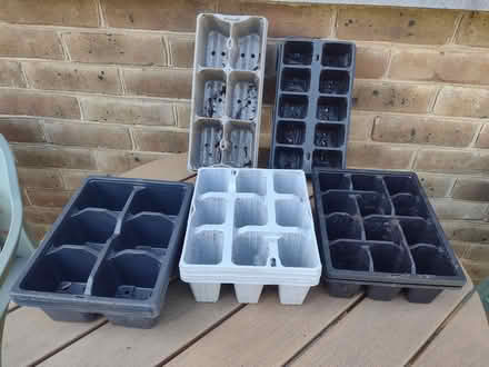 Photo of free Garden plant cell trays (Tonbridge TN9) #1
