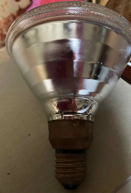 Photo of free Spotlight Bulb (Old Slade KT16) #1