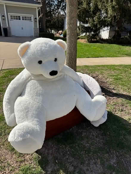 Photo of free Jumbo Teddy bear (Downtown Naperville) #1