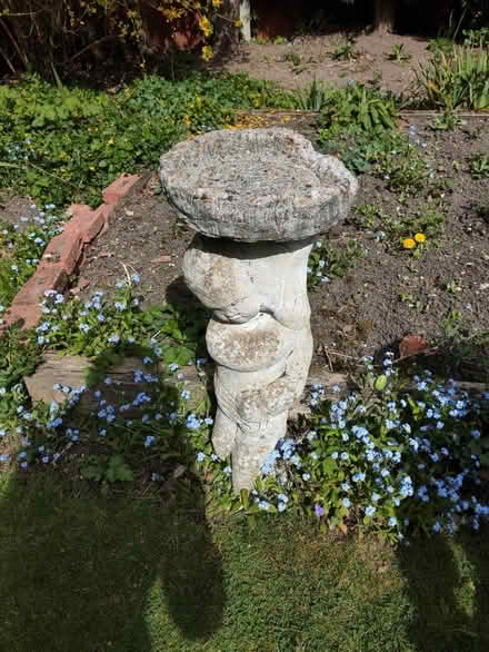 Photo of free Bird Bath / Garden Ornament (Great Notley, CM77) #2