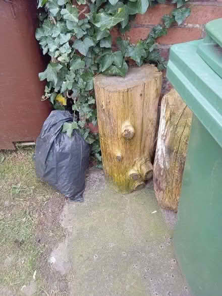 Photo of free 2 x 27 Inch Tall, 11 Inch Diameter Round Seasoned And Dry Ha (Gidlow WN6) #2