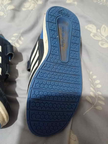 Photo of free Adidas trainers (Gorebridge EH23) #4
