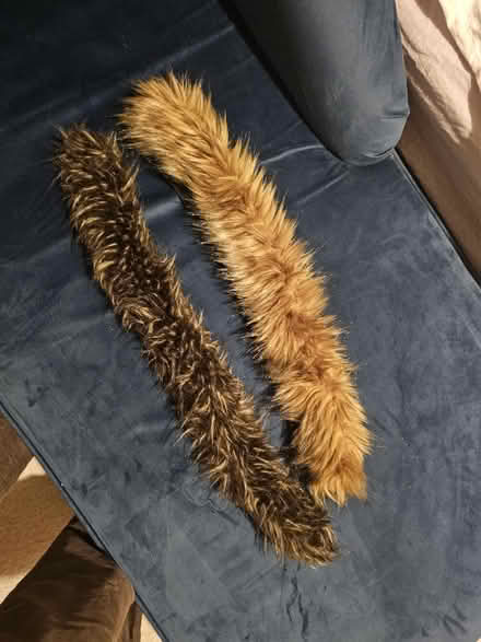 Photo of free Jacket/Coat fur (E1 Tower Hamlets) #1