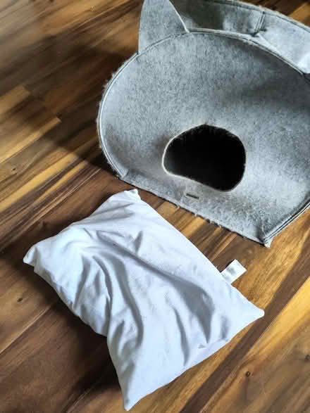 Photo of free zoofari cat cave (navan road) #2