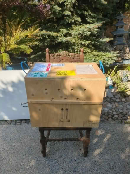 Photo of free Pet travel crate (Ashford TW15) #1