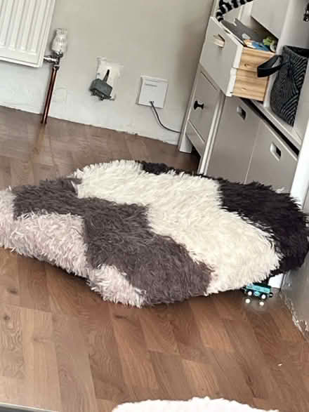 Photo of free 200 x 200 Temu Rug (Chatham) #2