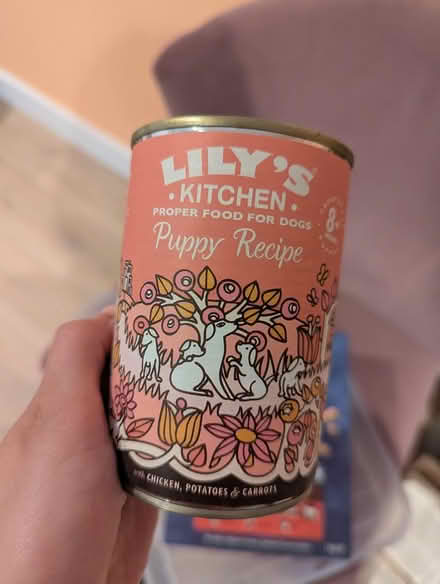 Photo of free Dog food and puppy food can (SE16) #3