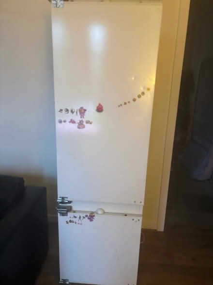 Photo of free Standing Fridge -Freezer (Edinburgh) #4