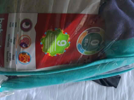 Photo of free Baby play mat (Honor oak) #3