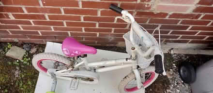 Photo of free Toddler Bicycle. (Broomhall S3) #1