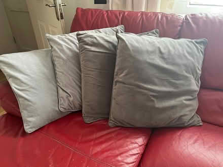 Photo of free 2 Pairs (4 total) of Silver Grey Sofa Cushions (Woodley RG5) #1