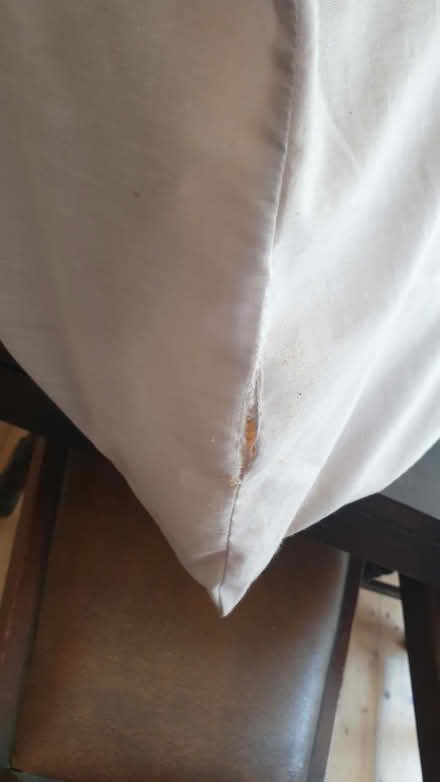 Photo of free wedge-shaped support pillow (Hove Green BN3) #1