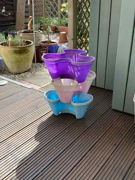 Photo of free Coloured Plastic planter (Long Hanborough OX29) #1