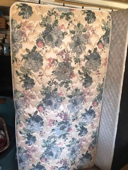 Photo of free Single bed, mattress box spring (Issaquah near Eastgate) #1