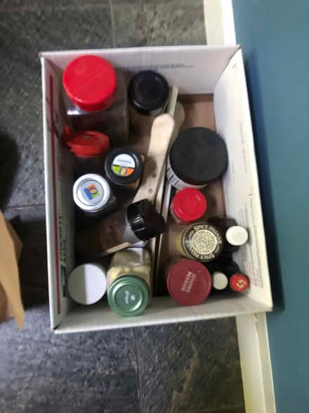 Photo of free Spuces (berkeley) #1