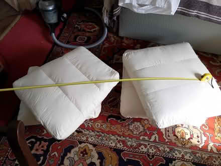 Photo of free Cushion Pads for sofa & Arm Chairs (Fontwell) #1