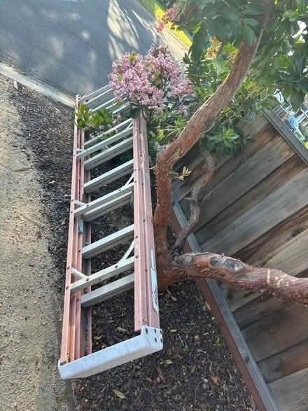 Photo of free 10 foot Ladder (Cambrian areA) #2