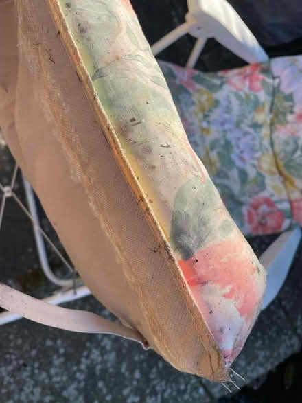 Photo of free Folding sun lounger (Carlisle CA1) #4