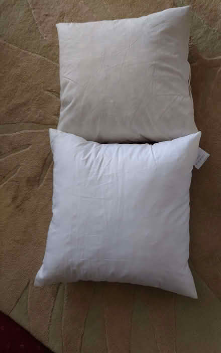 Photo of free Feather cushion fillers - 43cm x 43cm (Clerwood EH12) #1