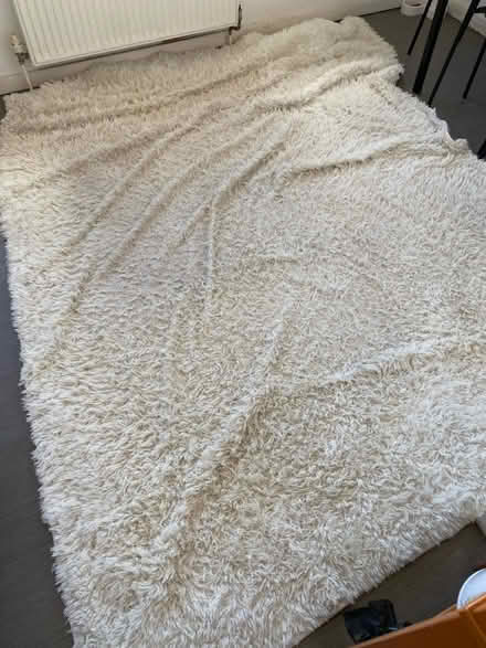 Photo of free Fluffy Rug Anti-Slip Carpet (Canning Town) #2