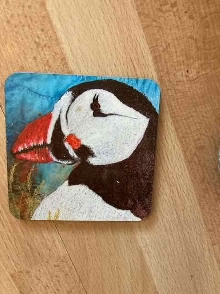 Photo of free Puffin stuff! (Thames Ditton KT7) #1