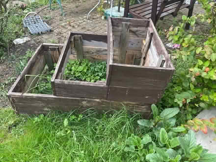 Photo of free DIY planter (Shenley Brook End MK5) #2
