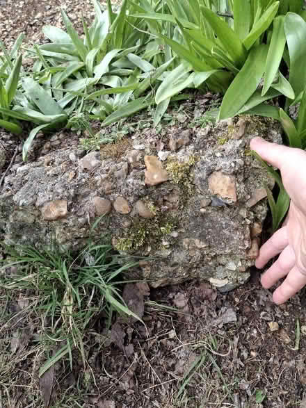 Photo of free Rocks/boulders for borders and rockeries (Watton at Stone SG14) #2