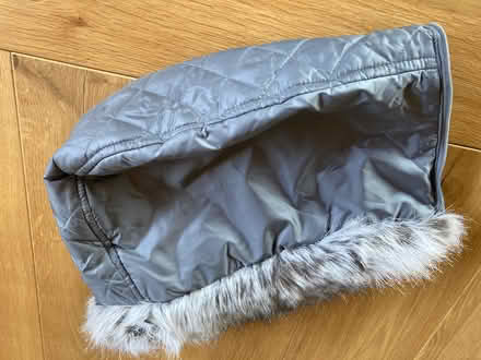 Photo of free jacket hood w/fur trim (Downers Grove, south side) #3