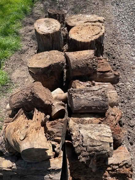 Photo of free Fire wood (North West Petaluma) #2