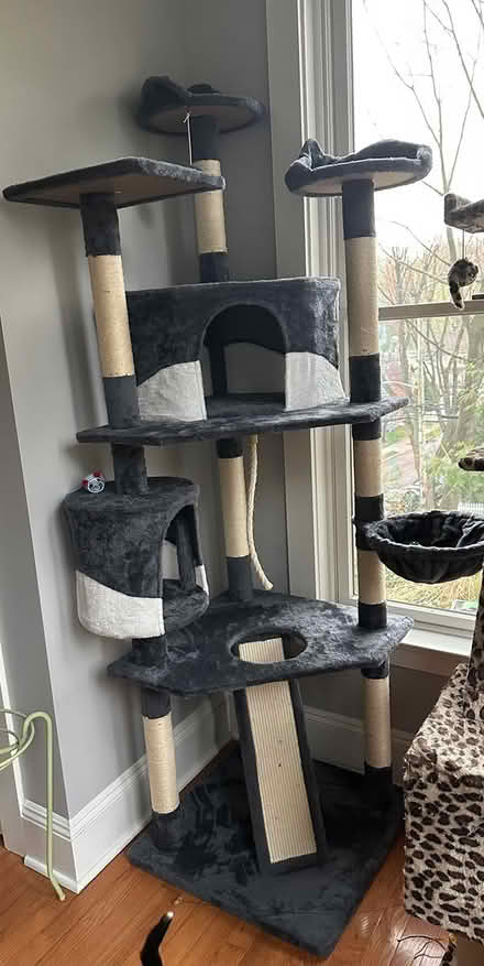 Photo of free Cat Tree (brand new) (Ossining) #2